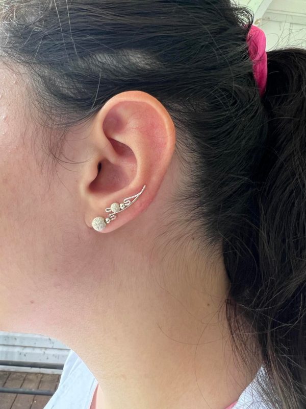 Silver Ear Climber